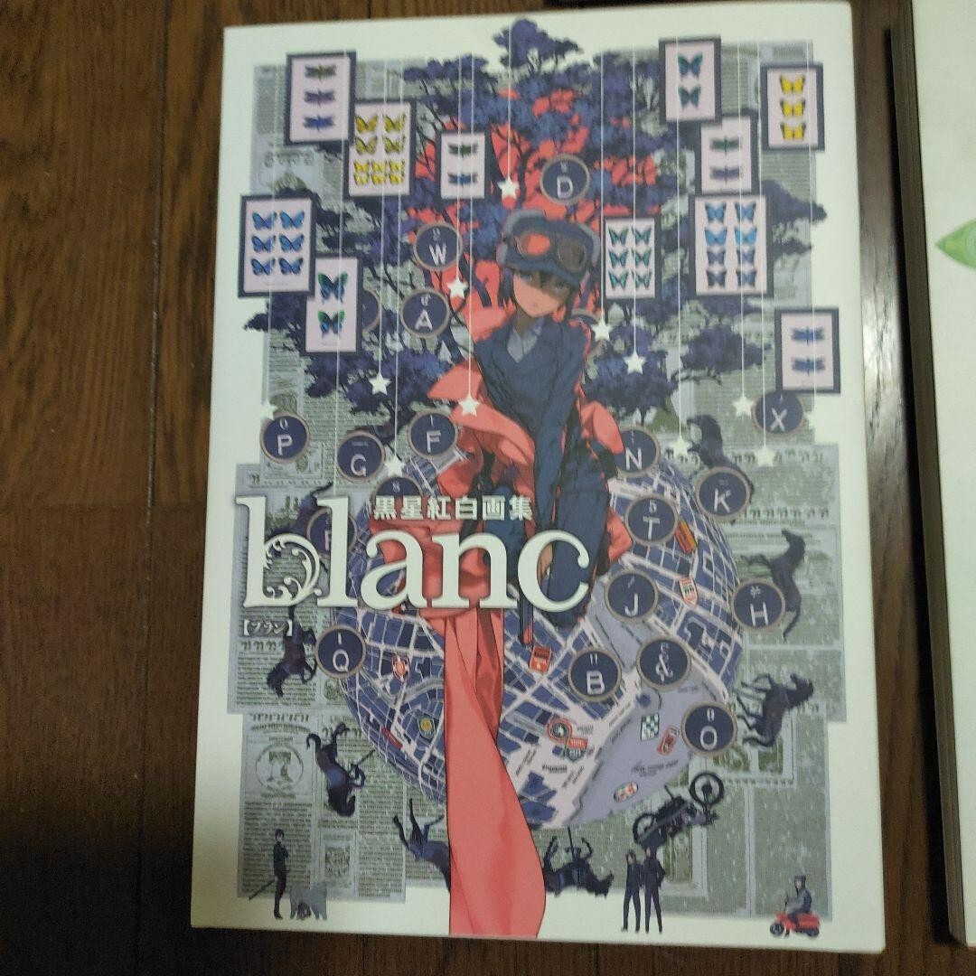 Kuroboshi Kouhaku Art Works Book noir & rouge & blanc World