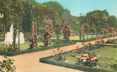 75 PARIS BAGATELLE LA ROSERAIE - 28915