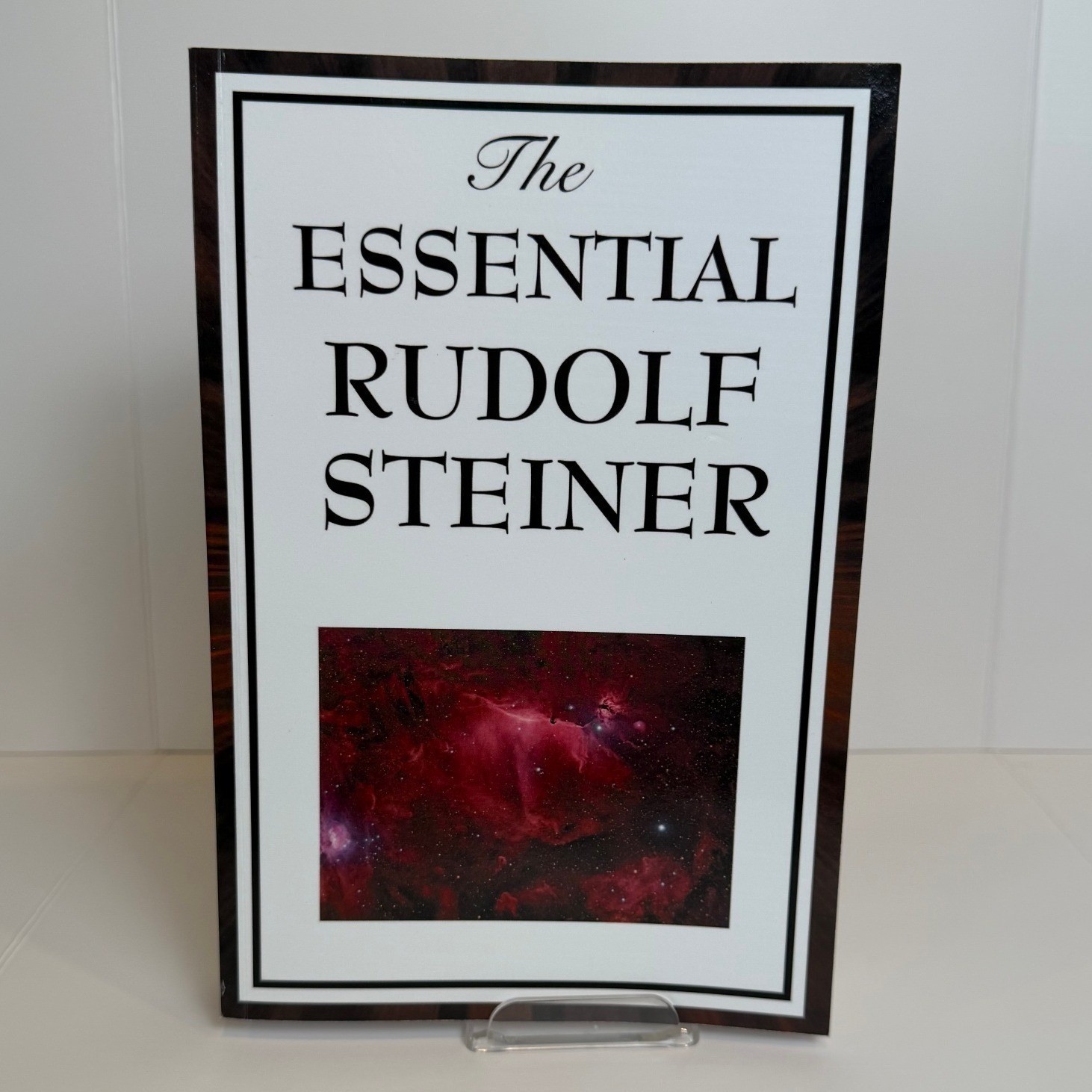 The Essential Rudolf Steiner - Paperback - Good