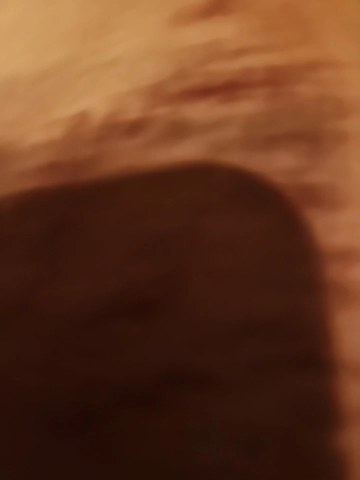 Spode Archive Collection Dinner Plate 10.5 in Victorian Series  - Image 2 of 4