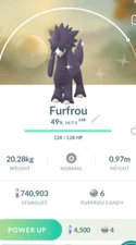 Pokemon New Release Shiny Furfrou Registered Or 30 Days Safe Fast Cheap