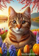 Tabby Brown Cat Springtime Flag