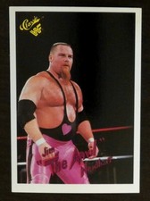 1990 Classic WWF - Jim Neidhart #96