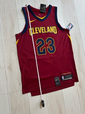 ウェア NBA LeBron James Cleveland Cavaliers LeBron James Cleveland Cavaliers Mitchell & Ness Swingman