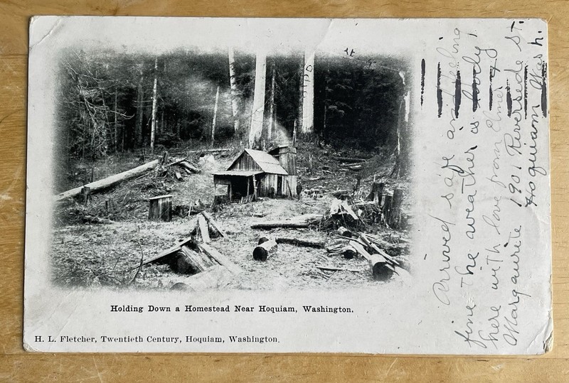 H. L. Fletcher Lithograph. Remote Homestead Cabin Near Hoquiam, ￼Washington