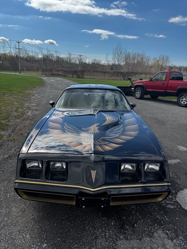 1980 Pontiac Trans Am - Picture 8 of 22