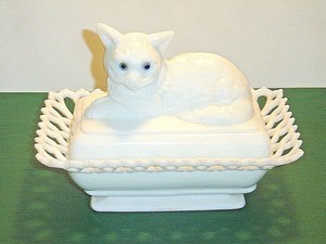 cat dish with lid