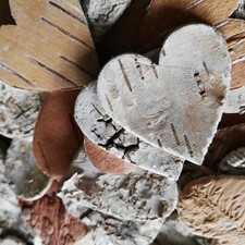 400 Stück Birkenherzen Aus Rinde – 2,5 Cm, Natur, Als Tischdekoration Für Hochzeit, Landhausstil & Basteln