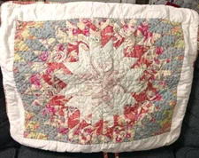 The Company Store Serafina Starburst Red Blue Multi 2-PC Euro Shams