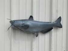 31" Blue Catfish Half Mount Fish Replica - In Stock & Ready to Ship
