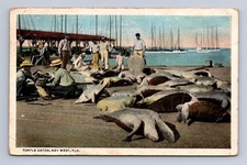 TURTLE BEACH KEY WEST FLORIDA CURT TEICH POSTCARD (c. 1910)