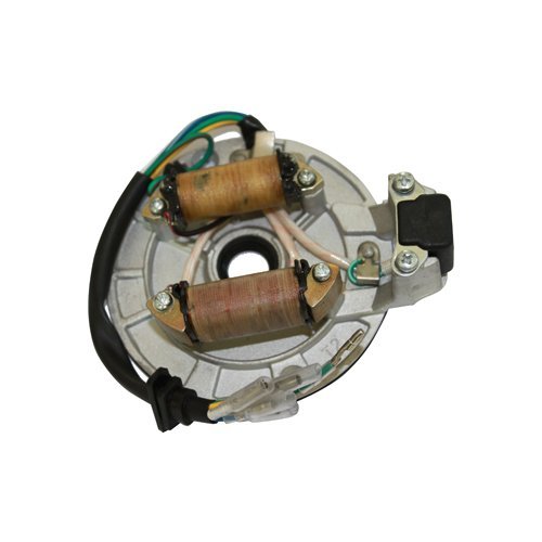 2-Coil 5-Wire Magneto Stator For Coolster, Max, Trade 70cc 90cc 125cc Dirt Bikes & ATVs