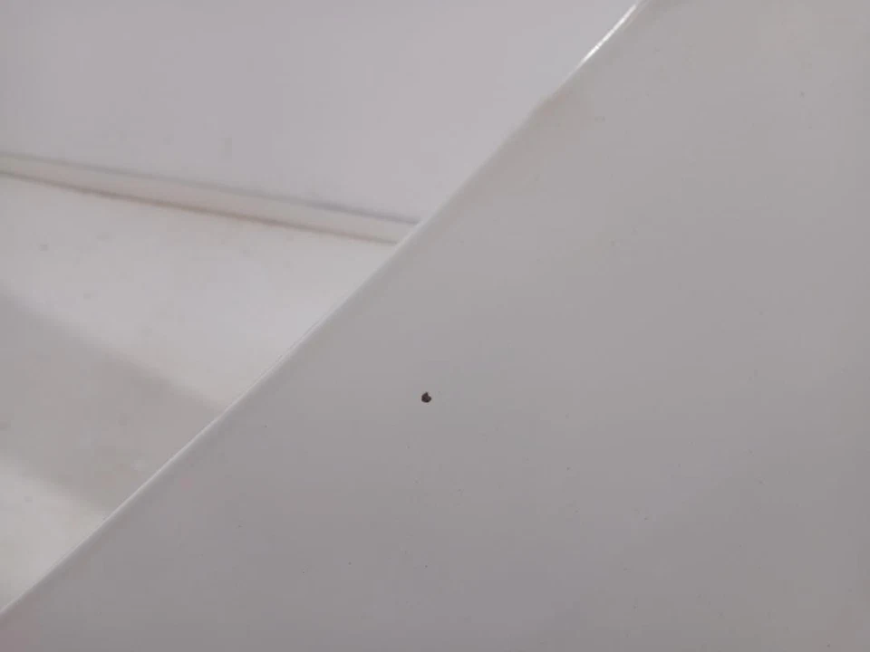 7751477649 Capo para RENAULT TWINGO II Miss Sixty 2010 1094847 - Imagen 4 de 4