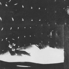 Cindy Lee - Malenkost [New Vinyl LP] Bonus Track, Digital Download