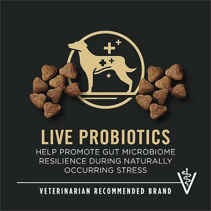 Comida seca para perros Pro Plan Sport Performance 30/20 carne de res y bisonte - 33 lb Foto 3 de 4