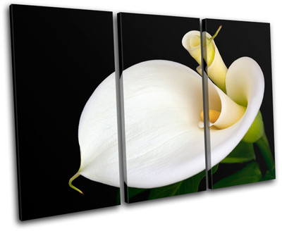 Calla Lily Flowers Floral TREBLE Leinwand Wand Kunst Bild drucken