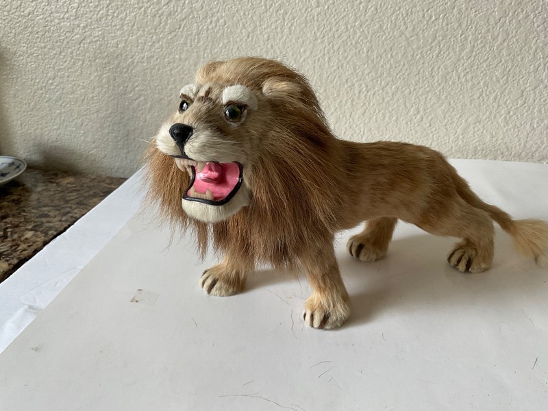 Vtg Furry Lioness Glass Eye Gold Leaf Shanghai