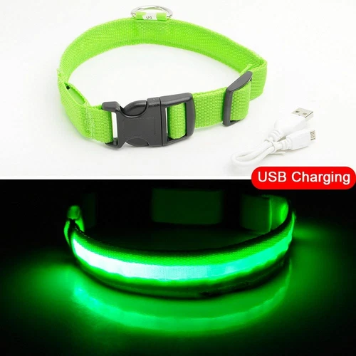 Collar LED de carga USB para perro antipérdida accidentes automovilísticos cachorros suministros de plomo - Imagen 7 de 11