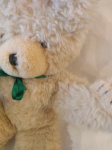 wendy boston teddy bear