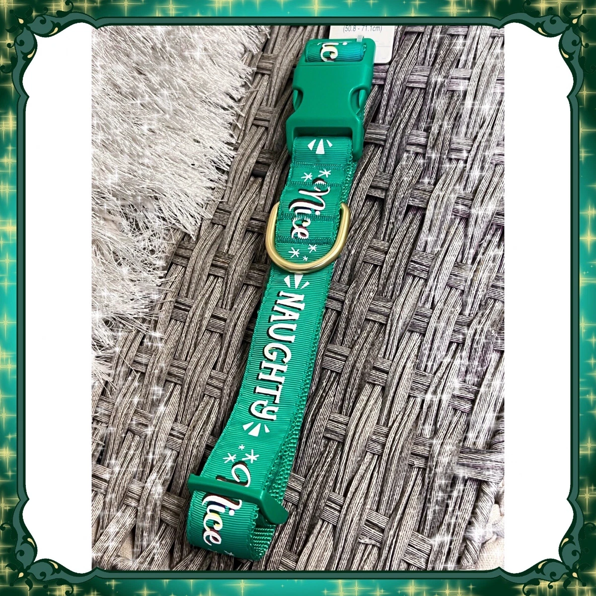 Holiday dog store collars petsmart