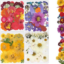 Dried Pressed Flowers, 80Pcs Real Natural Pressed Flowers for Resin Nail Art Scr