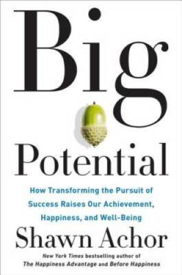 Big Potential: How Transforming the Pursuit of Success Raises Our Ac - VERY GOOD