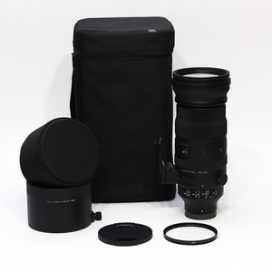 Sigma 150 600 Sony E Mount | eBay