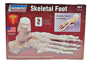 LINDBERG SCIENCE KIT " SKELETAL FOOT " LIFE SIZE WITH DISPLAY STAND # 71314