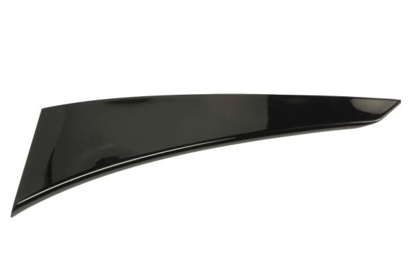 Right Front BLIC 5703-04-8115572P Trim/Protection Strip, quarter panel