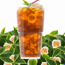 5 Tea Shrub Seeds (Camellia sinensis) | Black, White, Green Tea Leaf Tree Plant
