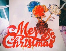 Merry Christmas Sign and Vase with Galaxy Roses