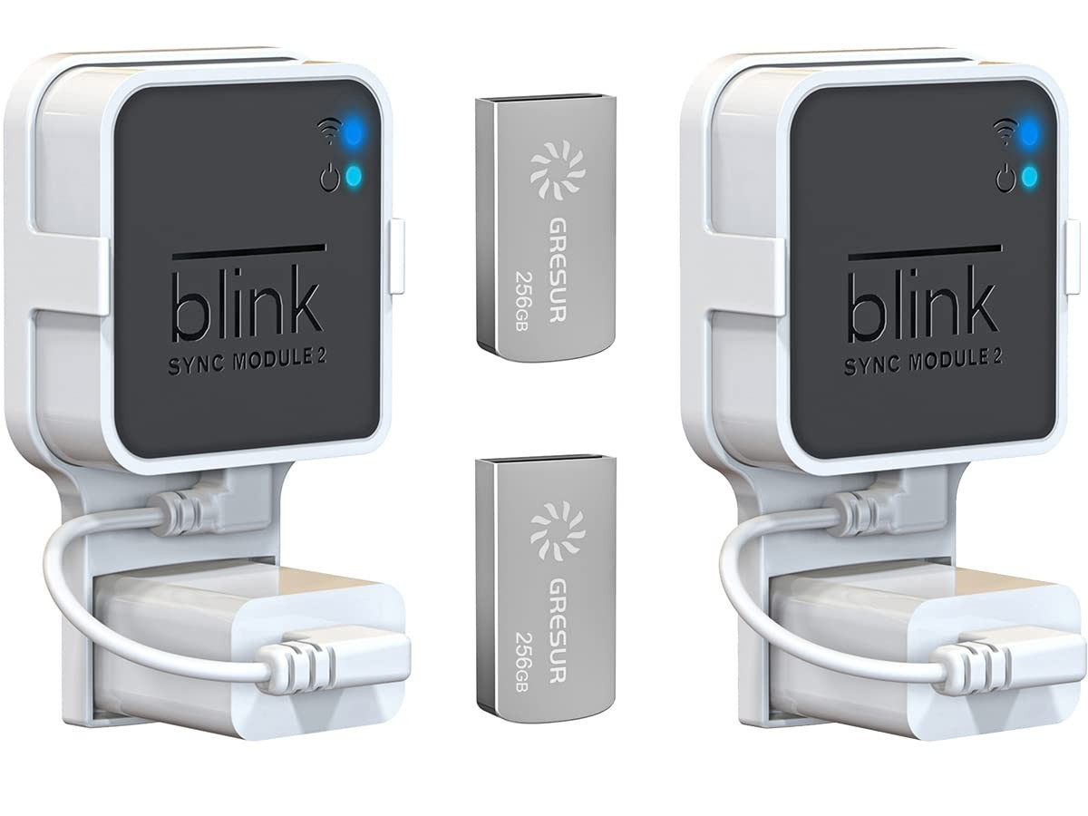 256GB USB Flash Drive for Local Video Storage with The Blink Sync Module 2 Mo...-image