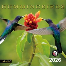 2026 Wall Calendar,Calendar 2026, November 2025 - 12"x24", Hummingbirds 3