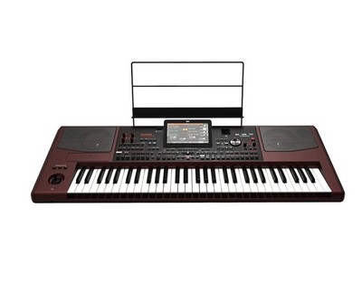 Korg PA1000 61-Key Pro Arranger Keyboard w/ Speakers