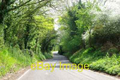 Photo 6x4 Charing Heath Road Leaves and blossom on a pleasant spring morn c2007