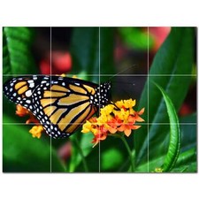 Butterfly Ceramic Tile Wall Mural PT500307. 17" W x 12.75" H 12 4.25 tiles