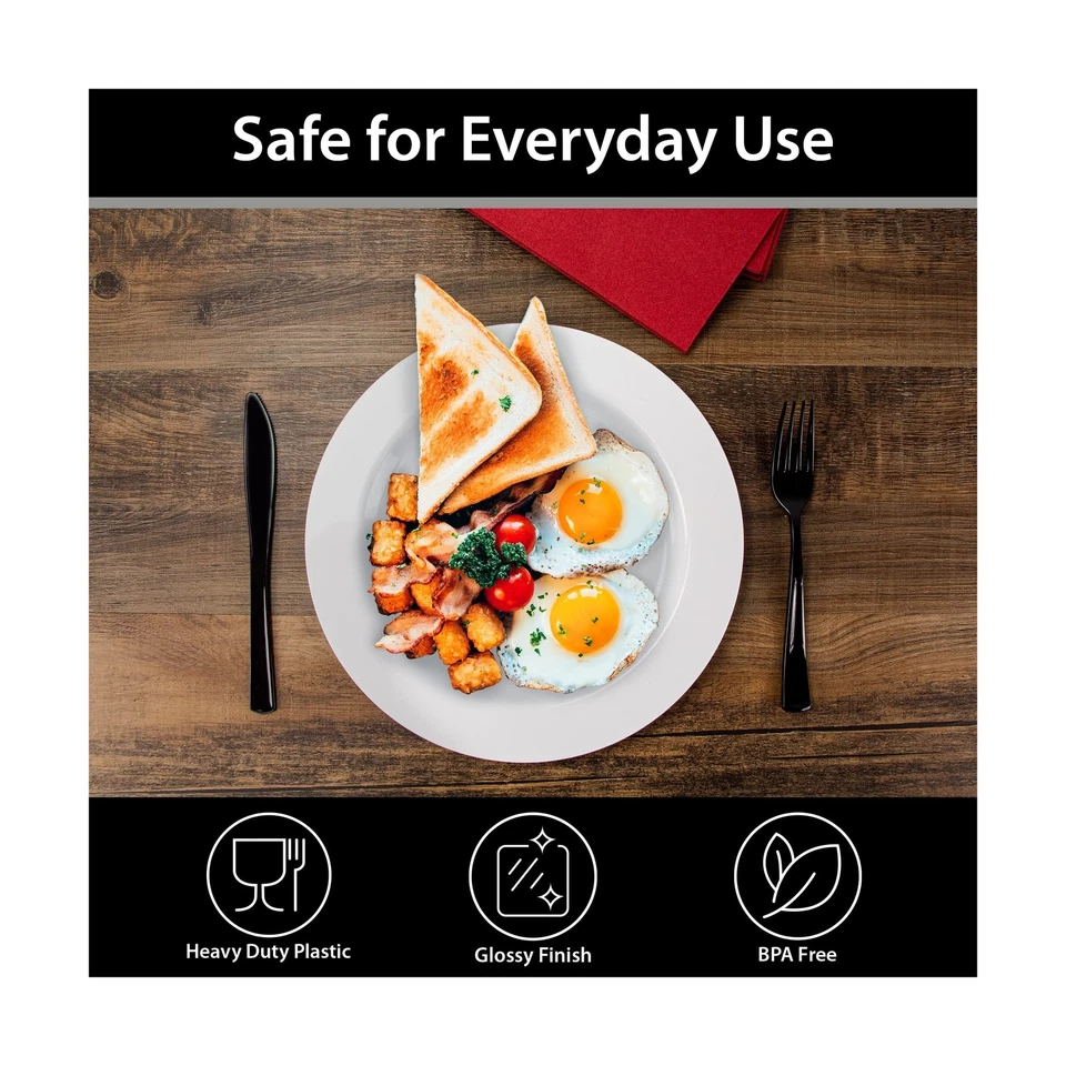 Placas de plástico de peso pesado de 10,25 pulgadas de calidad premium Lillian C... Foto 4 de 4