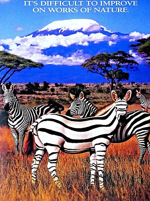 1997 Jeep Cherokee Vintage 3 Page Zebras Original Print Ad | eBay