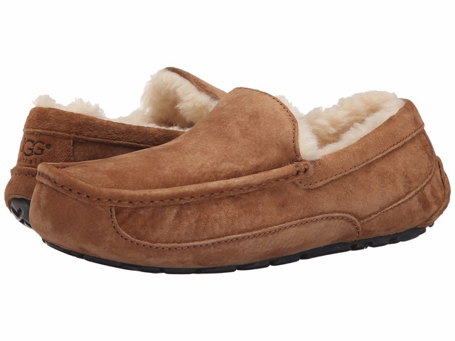 uggs ascot sale