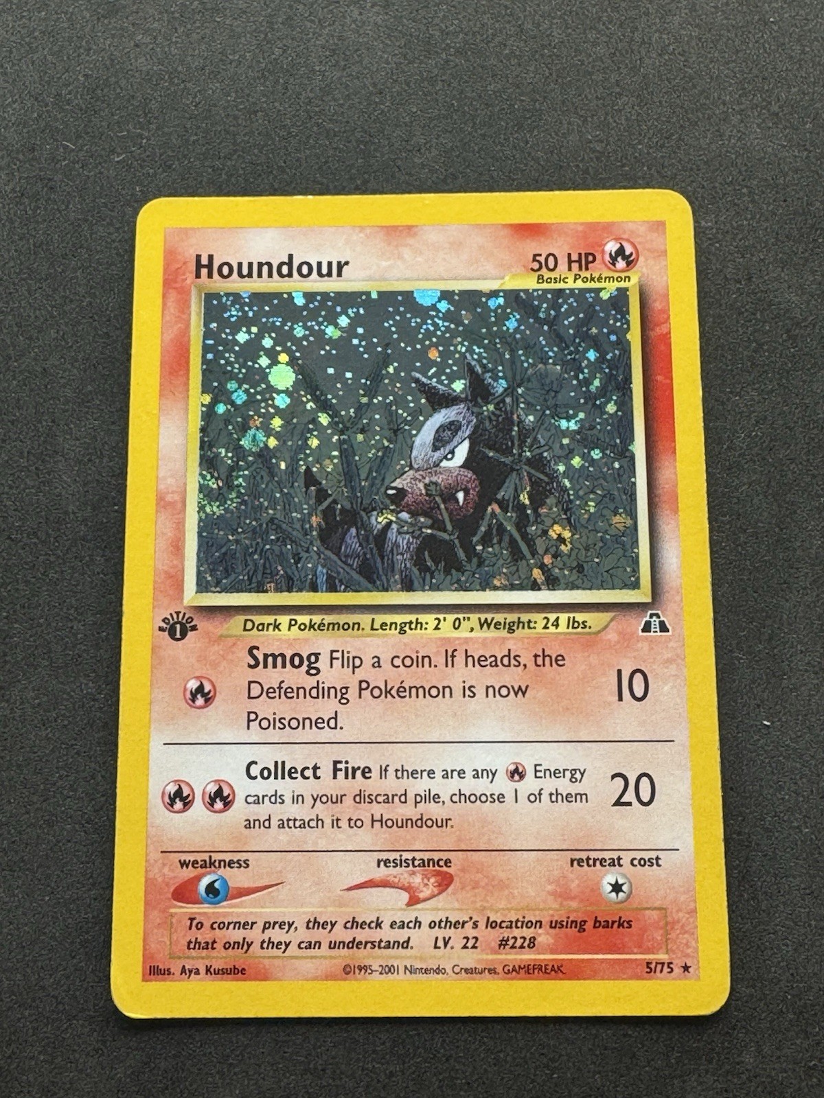 Houndour 5/75 First Edition Holo, 2001 Pokemon TCG LP
