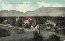 Postcard An Orange Grove and Home, Porterville, California VTG VPC02.