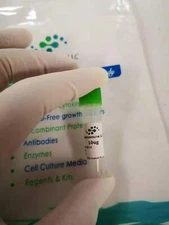 Recombinant Human BMP-2, 10ug expressed in human cells