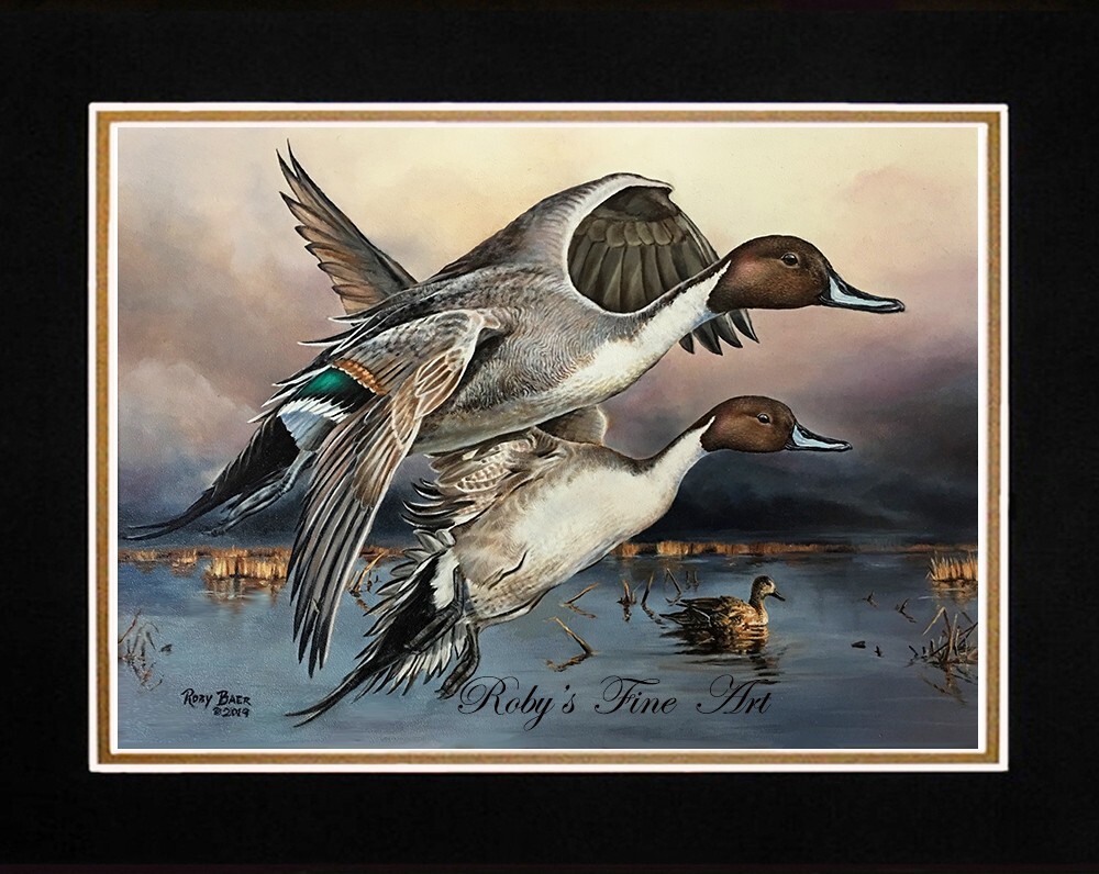 Matted "Northern Pintails" Duck Art Print 11x14" Mat by Realism Artist Roby Baer