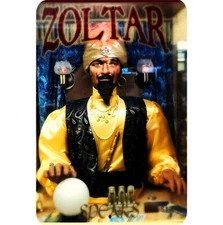 Witch Metal Sign 8x12 Zoltar Fortune Teller Machine Speaks Crystal Ball Turban
