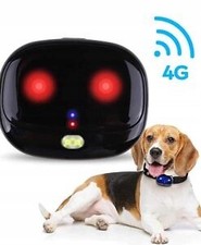 PET Finder 4G - GPS Tracker für Hunde - LIVE Ortung - Sicherheit für Hunde