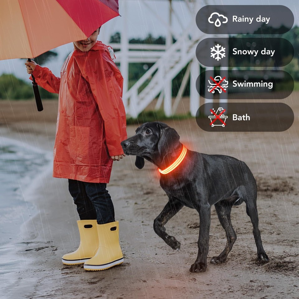 Light Up Dog Collars Rechargeable, Reflective LED Glow Dark Dog Collar