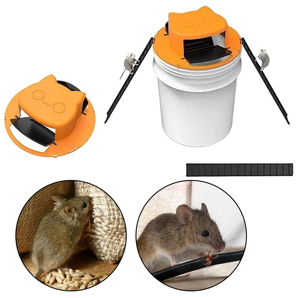 Mouse and rat traps deals