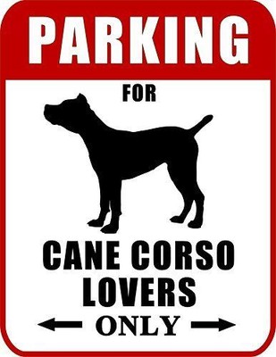 cane corso lovers