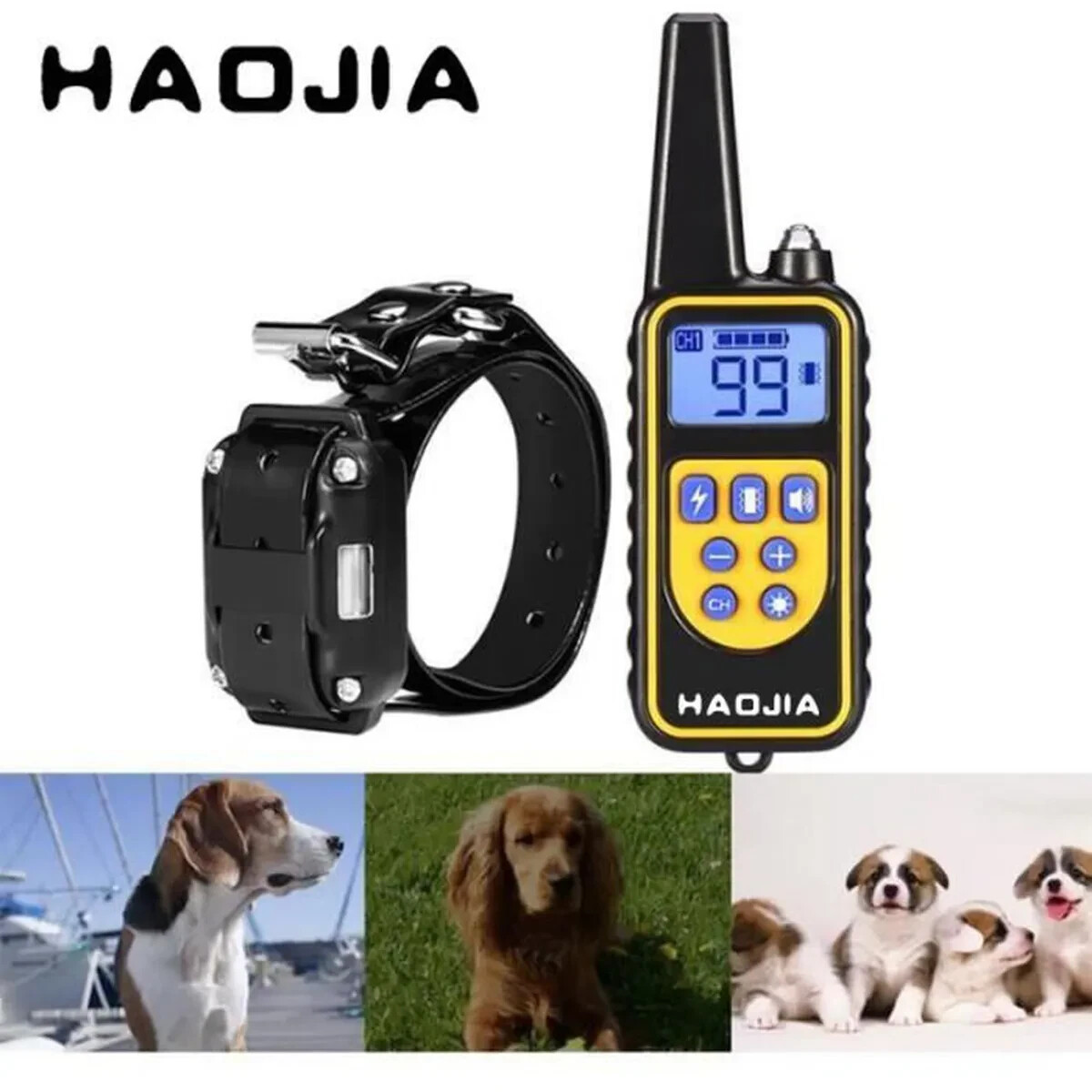 Collier de dressage pour chien étanche avec télécommande 800m noire