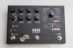 Hologram Electronics Microcosmグラニュラールーパー Microcosm